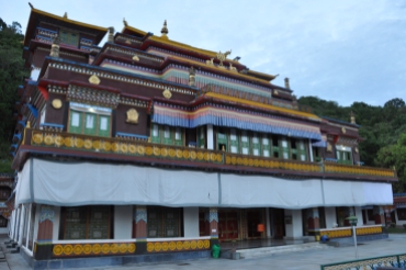 Peace at Rumtek Monastery, Gangtok, Sikkim